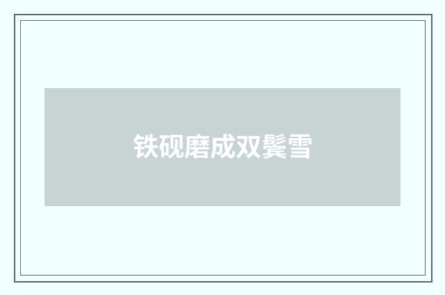 铁砚磨成双鬓雪