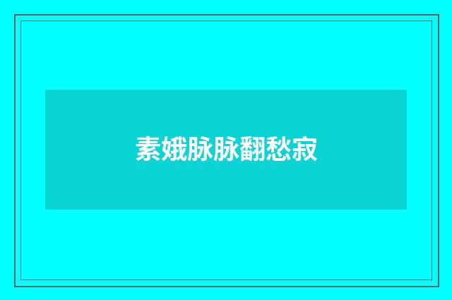 素娥脉脉翻愁寂