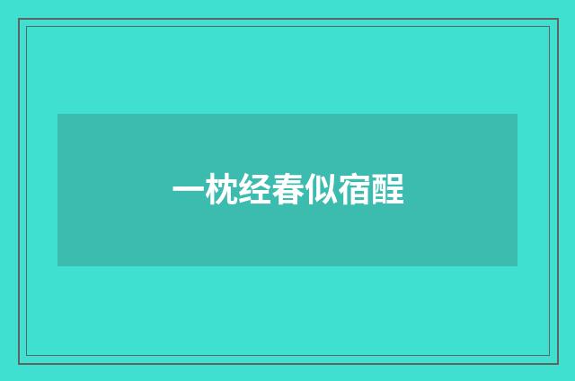一枕经春似宿酲
