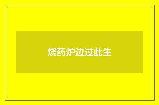 烧药炉边过此生