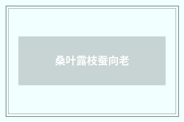 桑叶露枝蚕向老