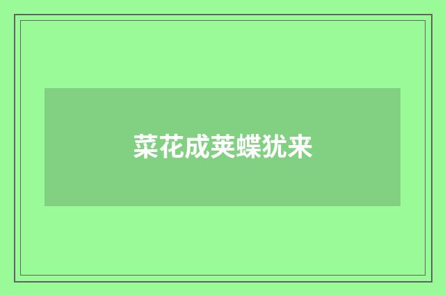 菜花成荚蝶犹来