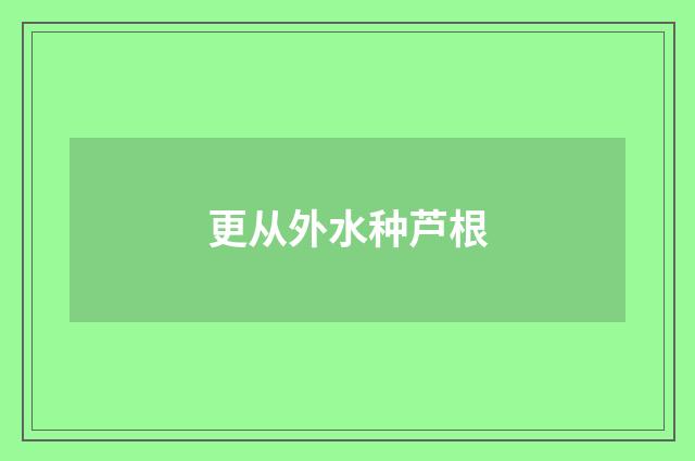 更从外水种芦根