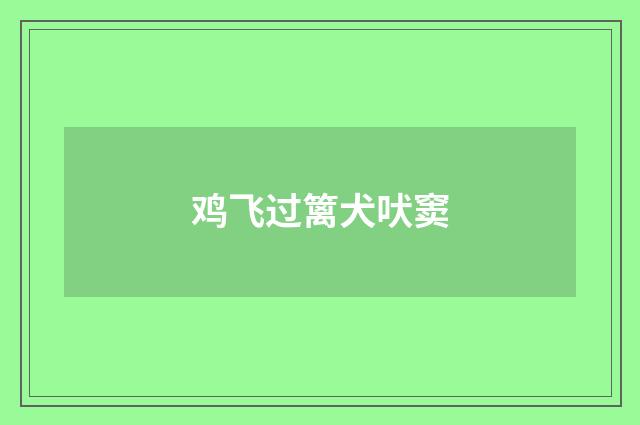 鸡飞过篱犬吠窦