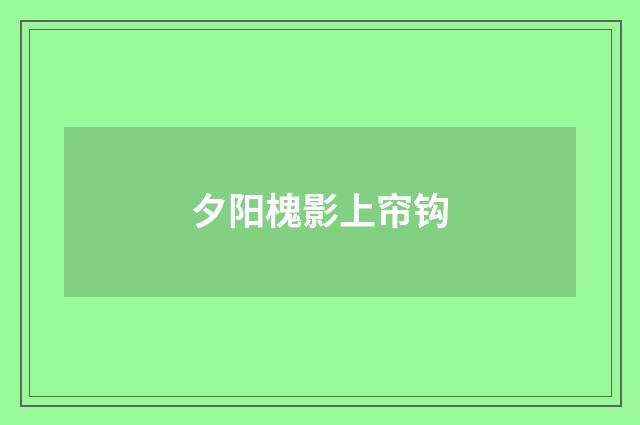 夕阳槐影上帘钩