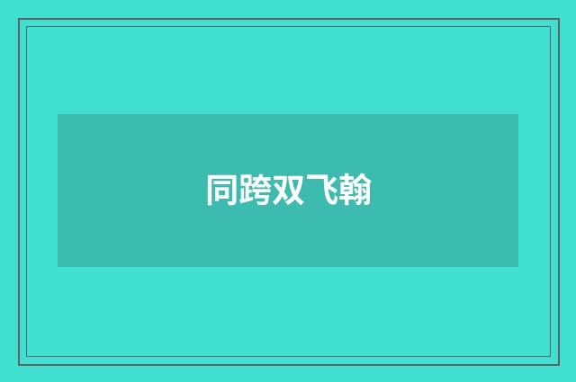 同跨双飞翰