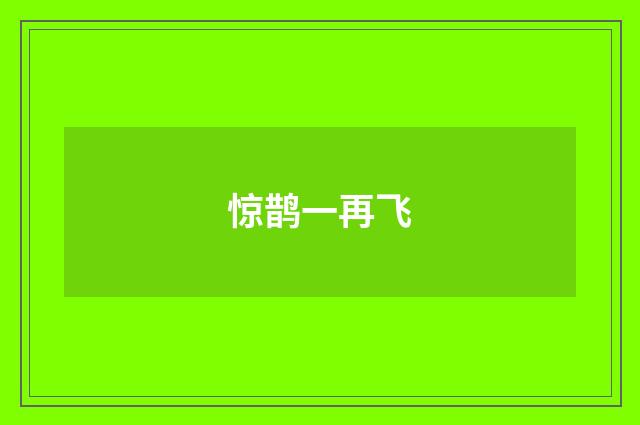 惊鹊一再飞