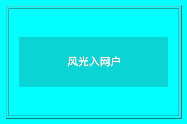风光入网户