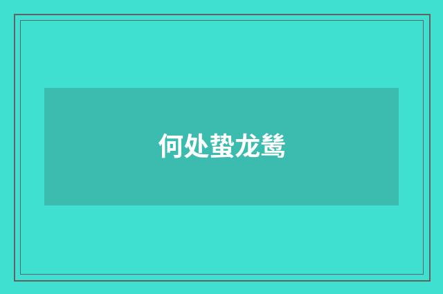何处蛰龙鸶