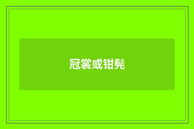 冠裳或钳髡