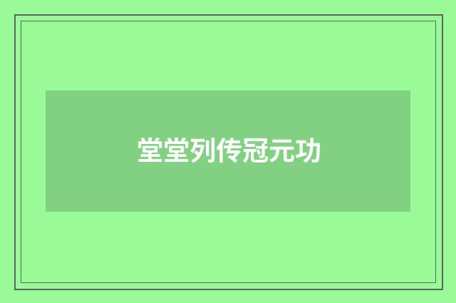 堂堂列传冠元功