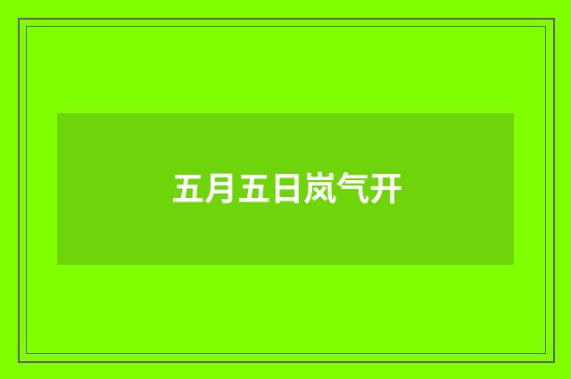 五月五日岚气开