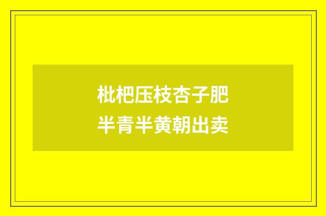 枇杷压枝杏子肥半青半黄朝出卖