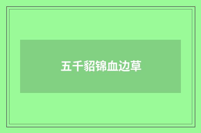 五千貂锦血边草