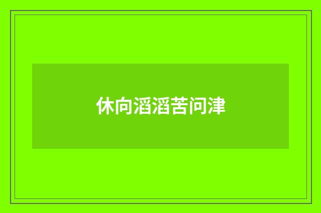 休向滔滔苦问津