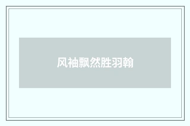 风袖飘然胜羽翰