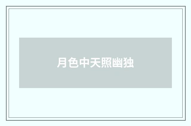 月色中天照幽独