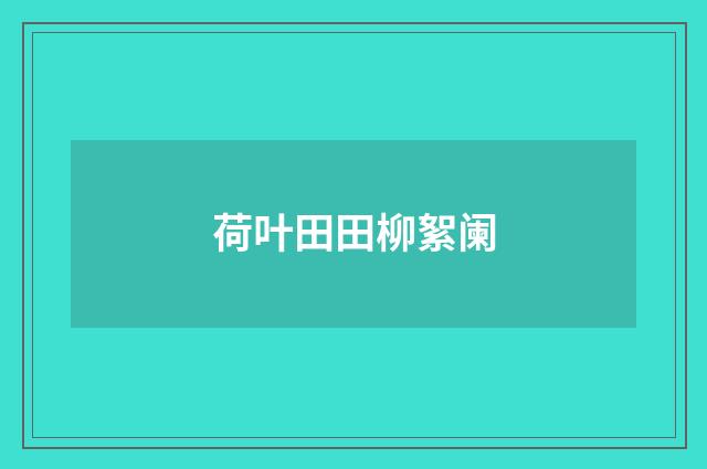 荷叶田田柳絮阑