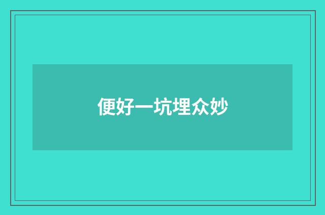 便好一坑埋众妙