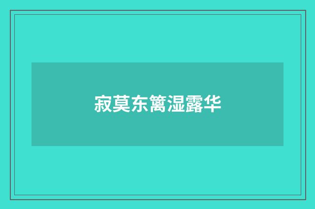 寂莫东篱湿露华