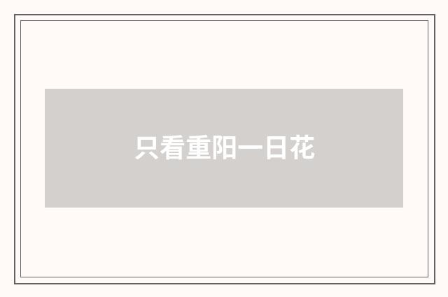 只看重阳一日花