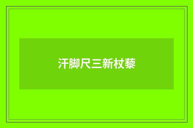 汗脚尺三新杖藜