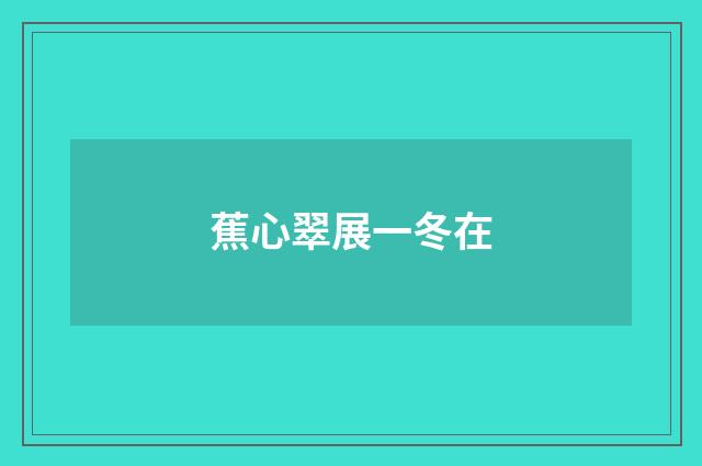 蕉心翠展一冬在