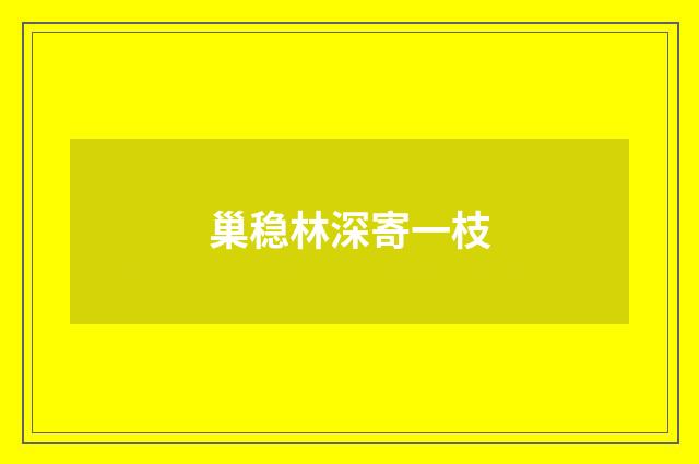 巢稳林深寄一枝