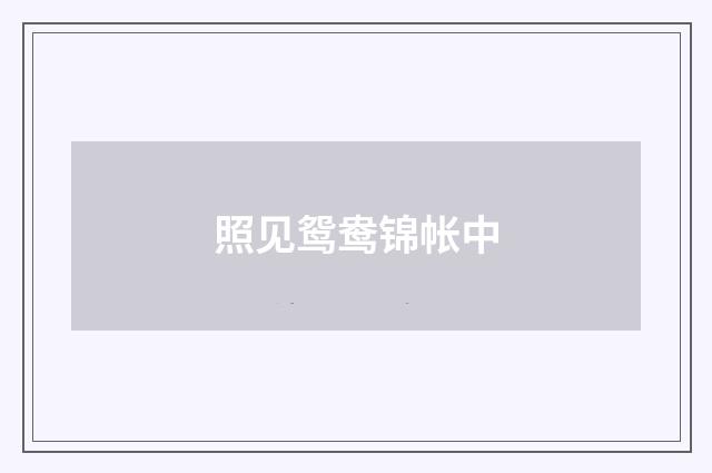 照见鸳鸯锦帐中