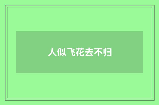 人似飞花去不归