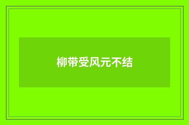 柳带受风元不结