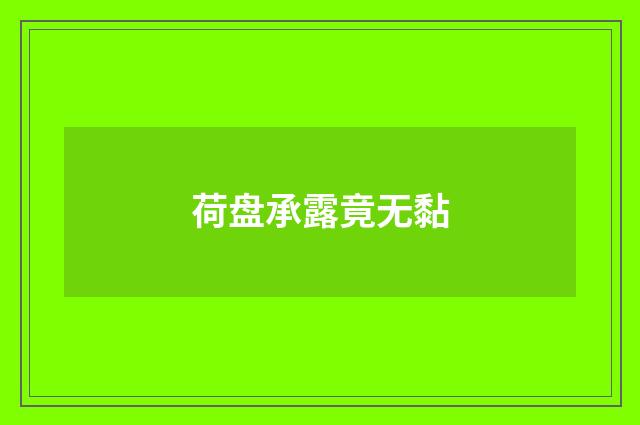 荷盘承露竟无黏