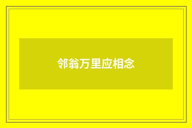 邻翁万里应相念