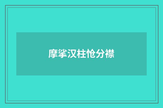 摩挲汉柱怆分襟