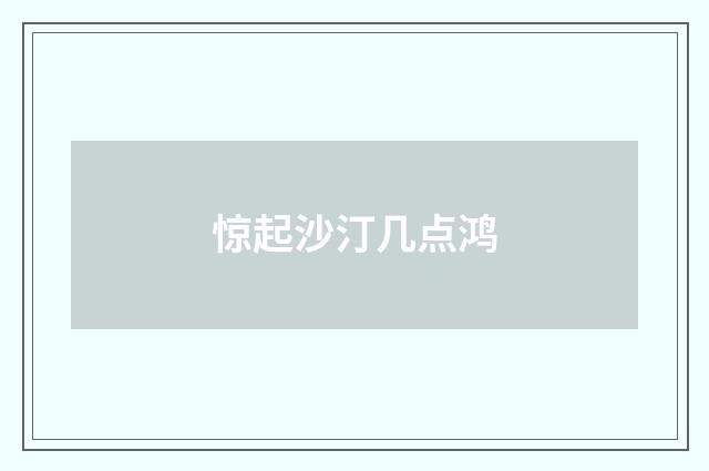 惊起沙汀几点鸿