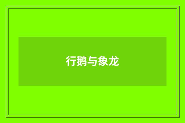 行鹅与象龙