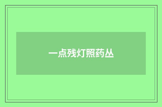 一点残灯照药丛