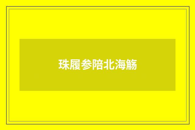 珠履参陪北海觞