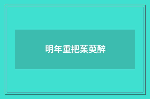明年重把茱萸醉