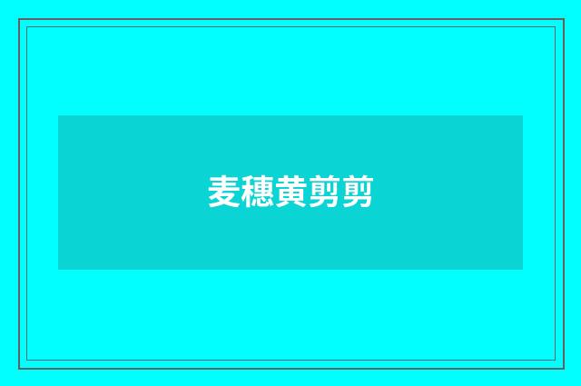 麦穗黄剪剪
