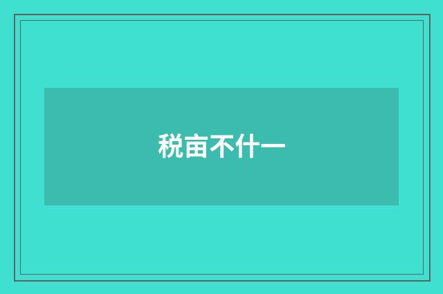税亩不什一