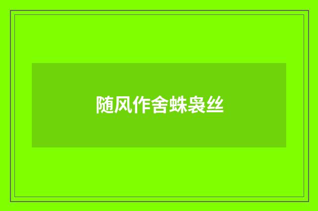 随风作舍蛛袅丝