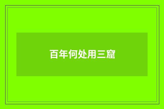 百年何处用三窟