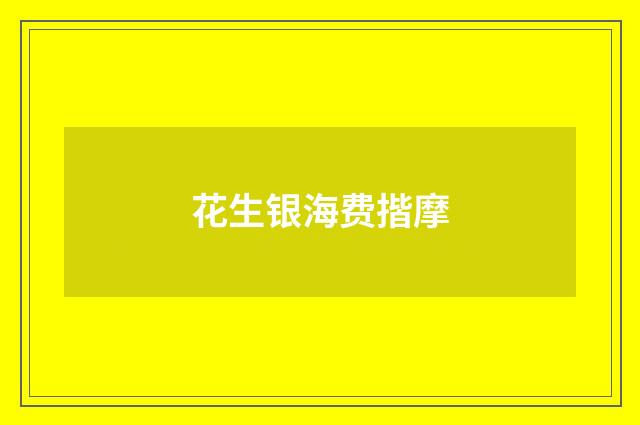 花生银海费揩摩