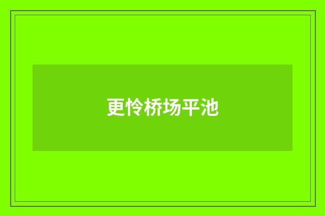 更怜桥场平池