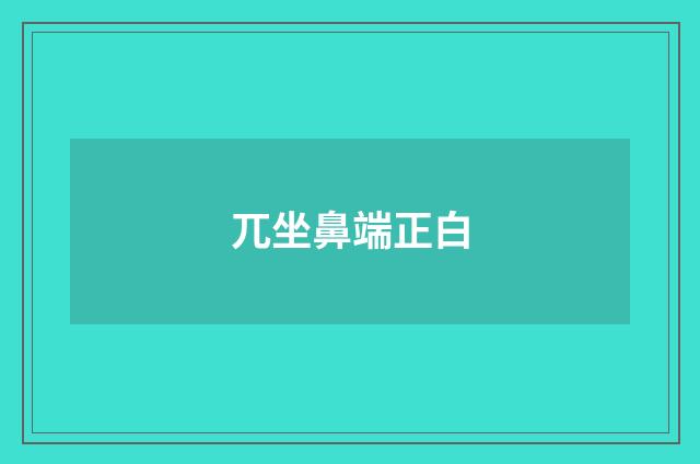 兀坐鼻端正白