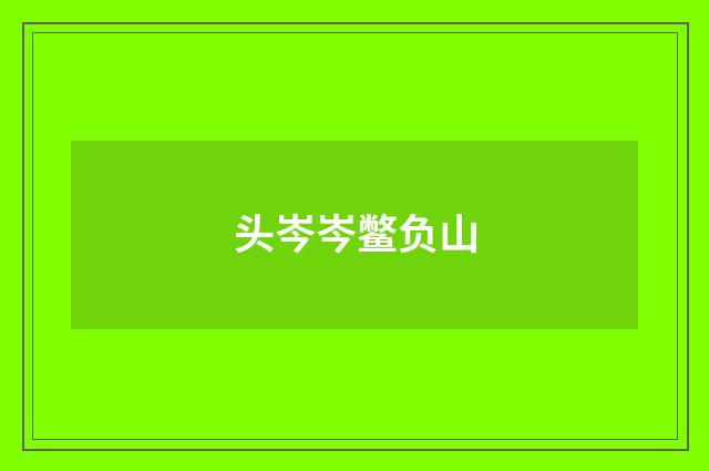 头岑岑鳖负山