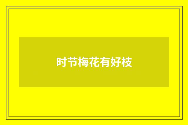 时节梅花有好枝