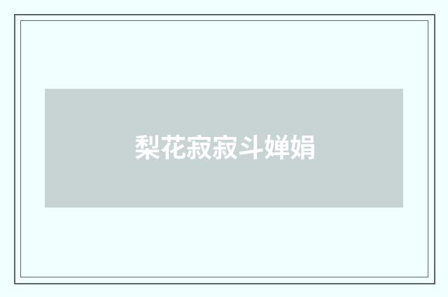梨花寂寂斗婵娟