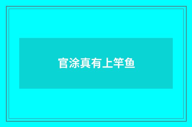 官涂真有上竿鱼